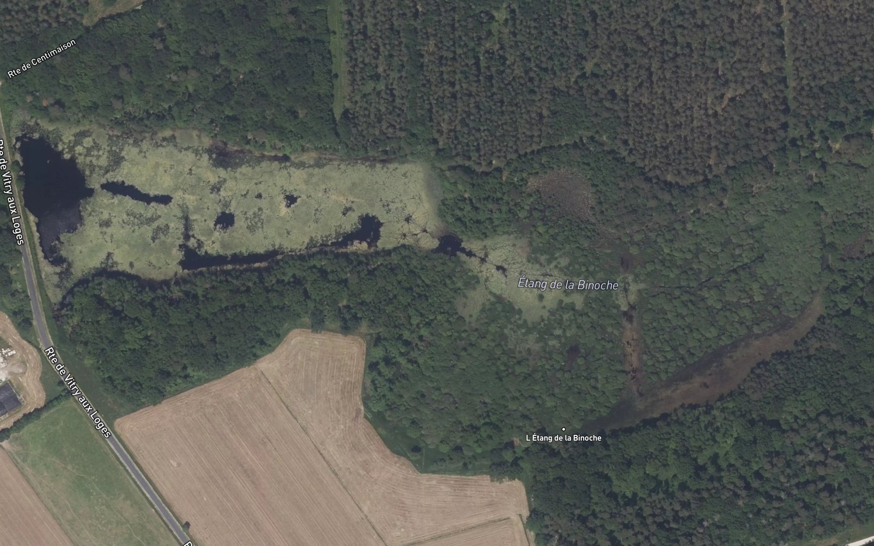 Satellite map of the Etang de la Binoche