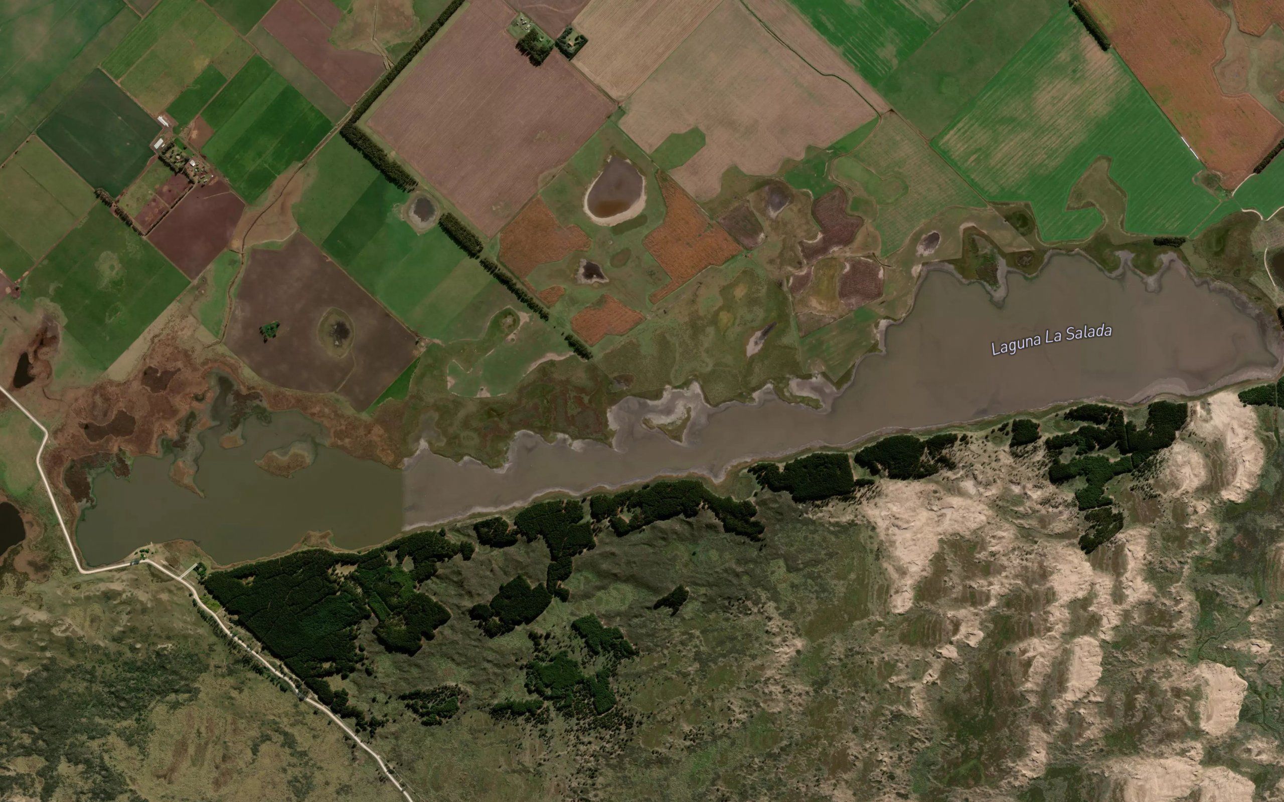 Laguna La Salada