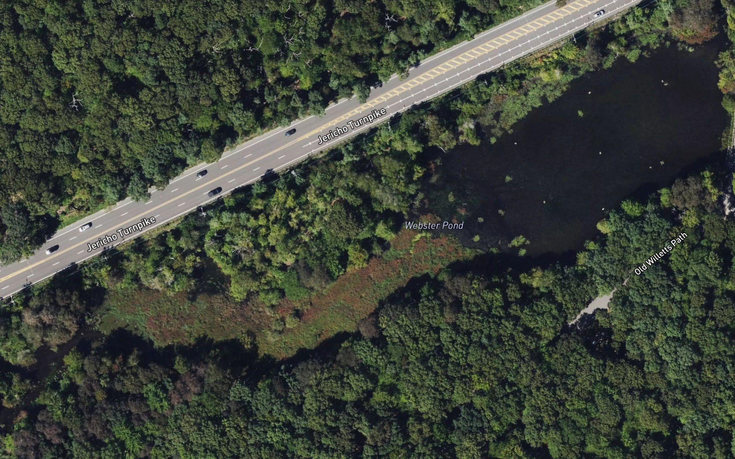 Webster Pond