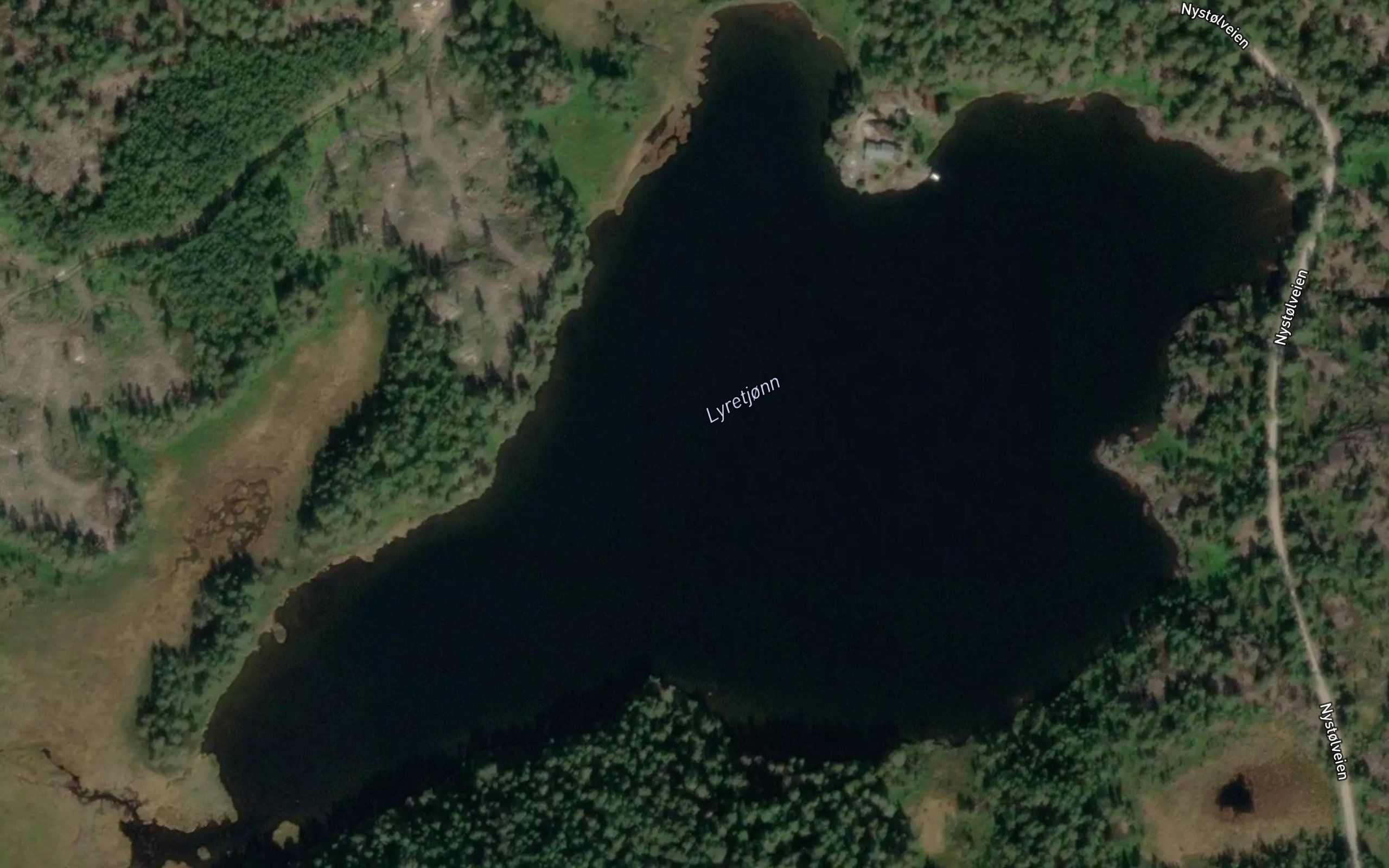 Lyretjorn