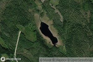 Heinalampi