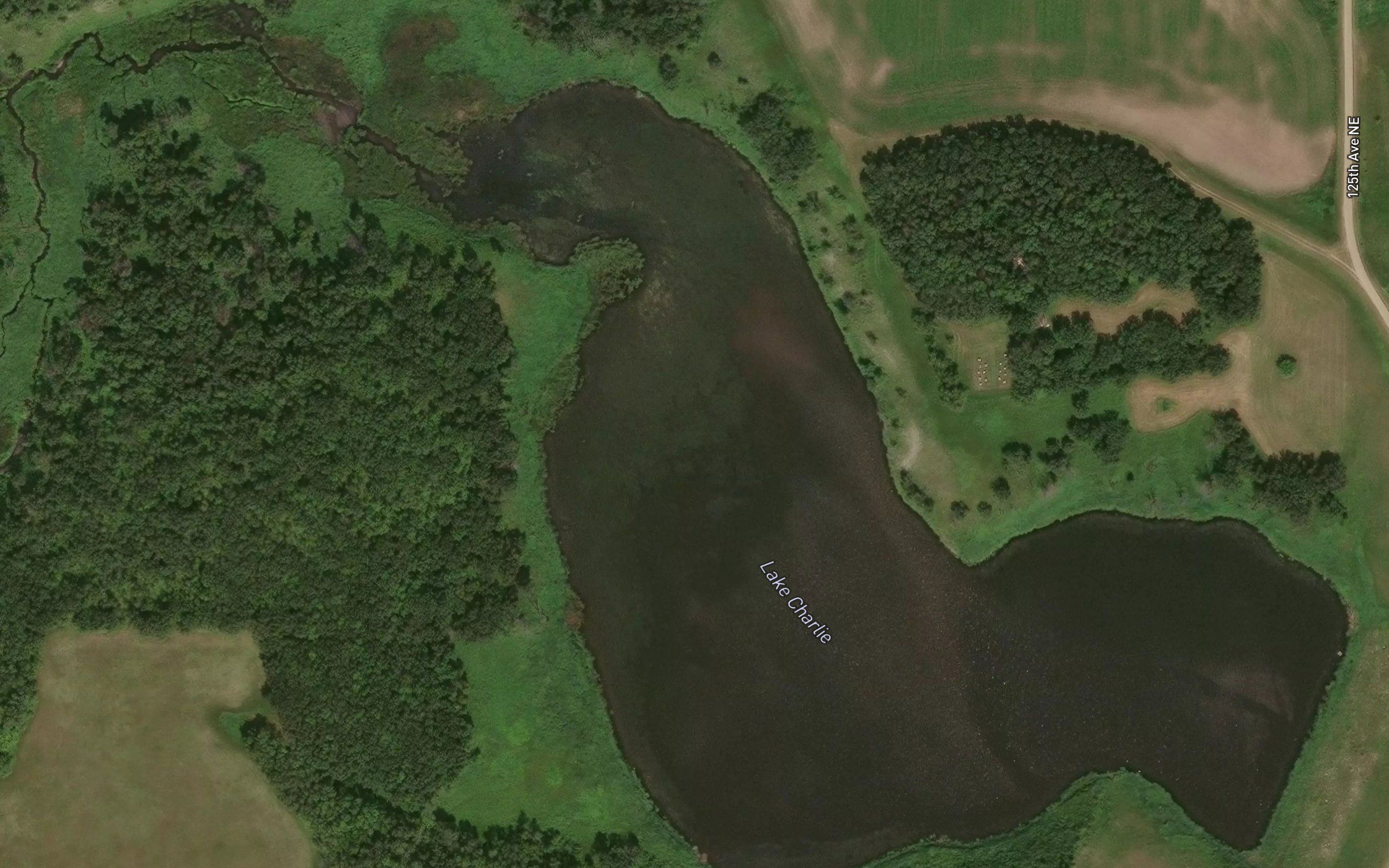 Lake Charlie