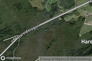 Dyfteelva