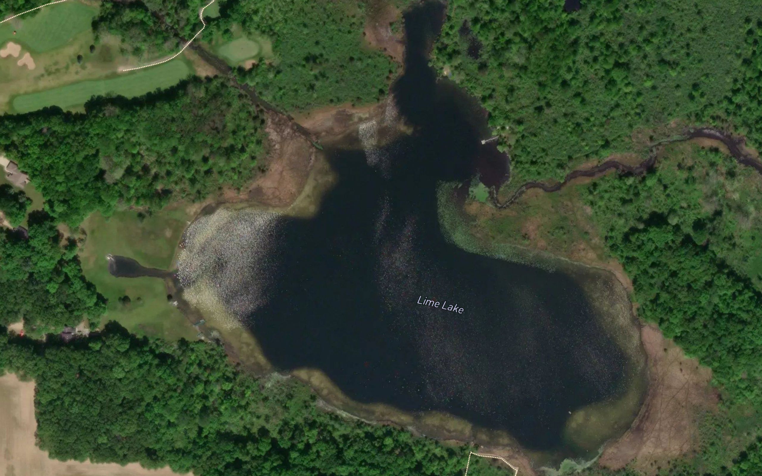 Lime Lake