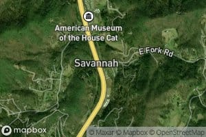 East Fork Savannah Creek