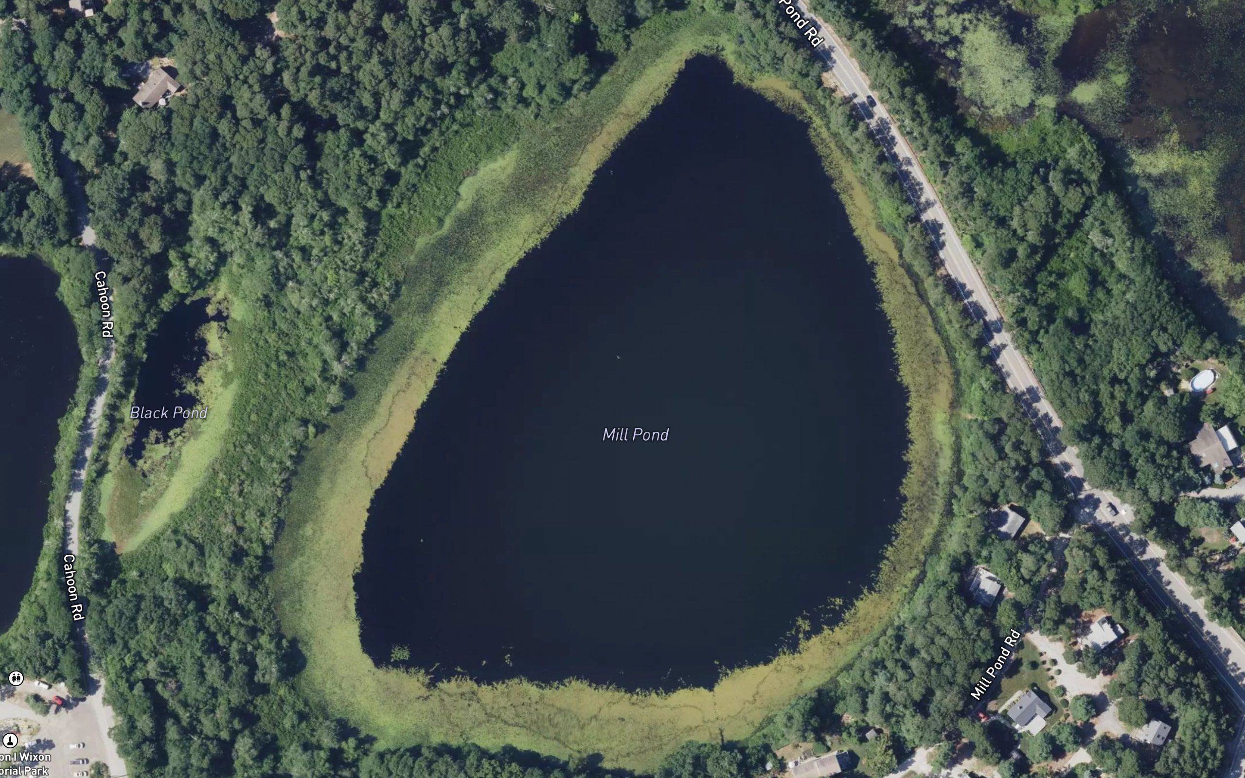 Mill Pond