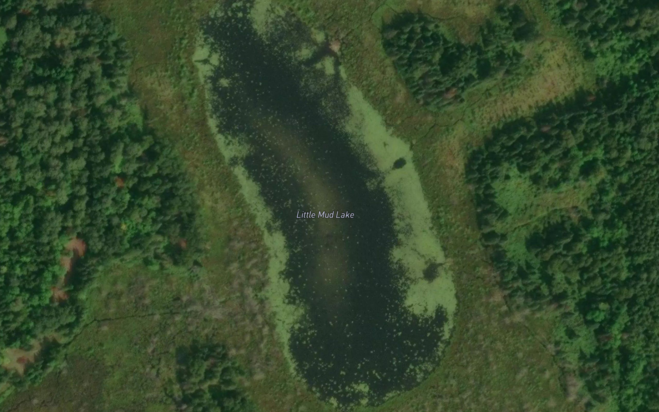 Little Mud Lake