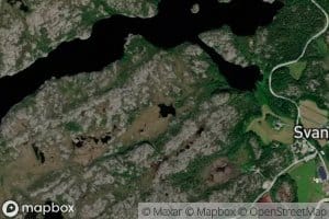 Lauvviktjorna