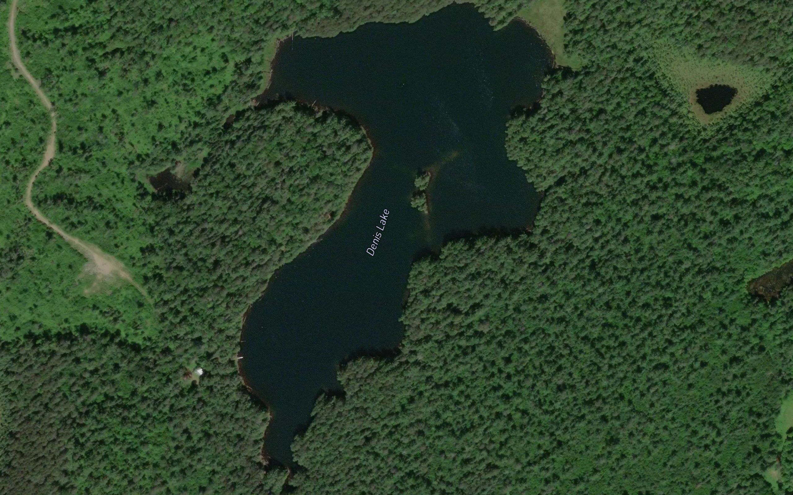 Denis Lake