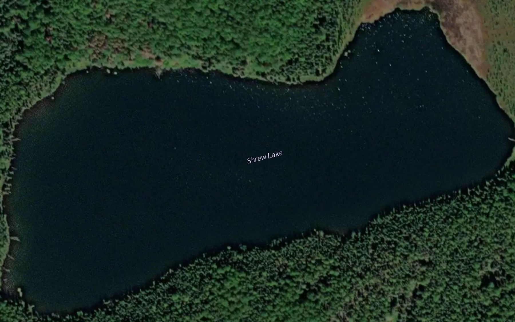 Satellite map of the Shrew Lake