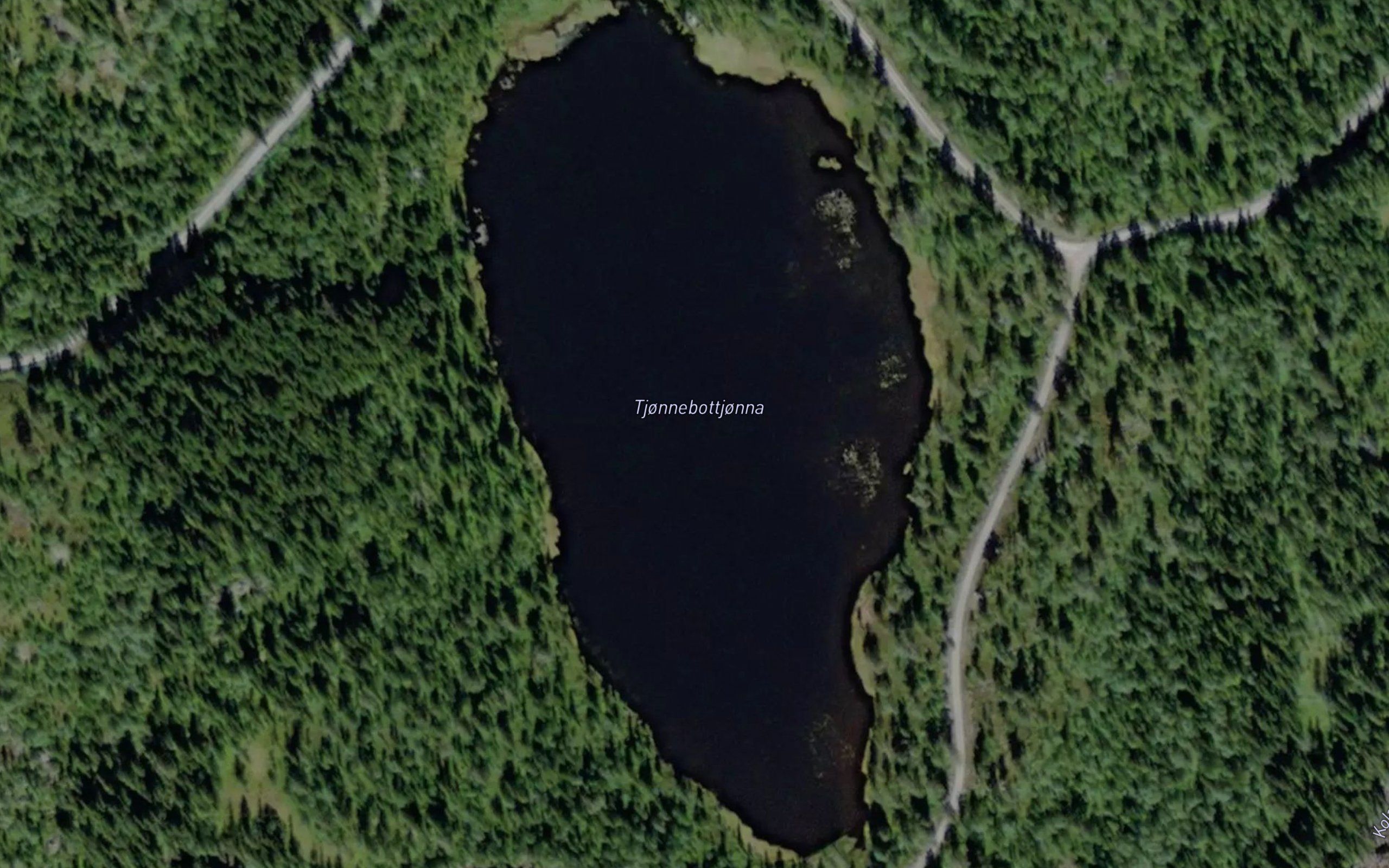 Tjornebottjorna
