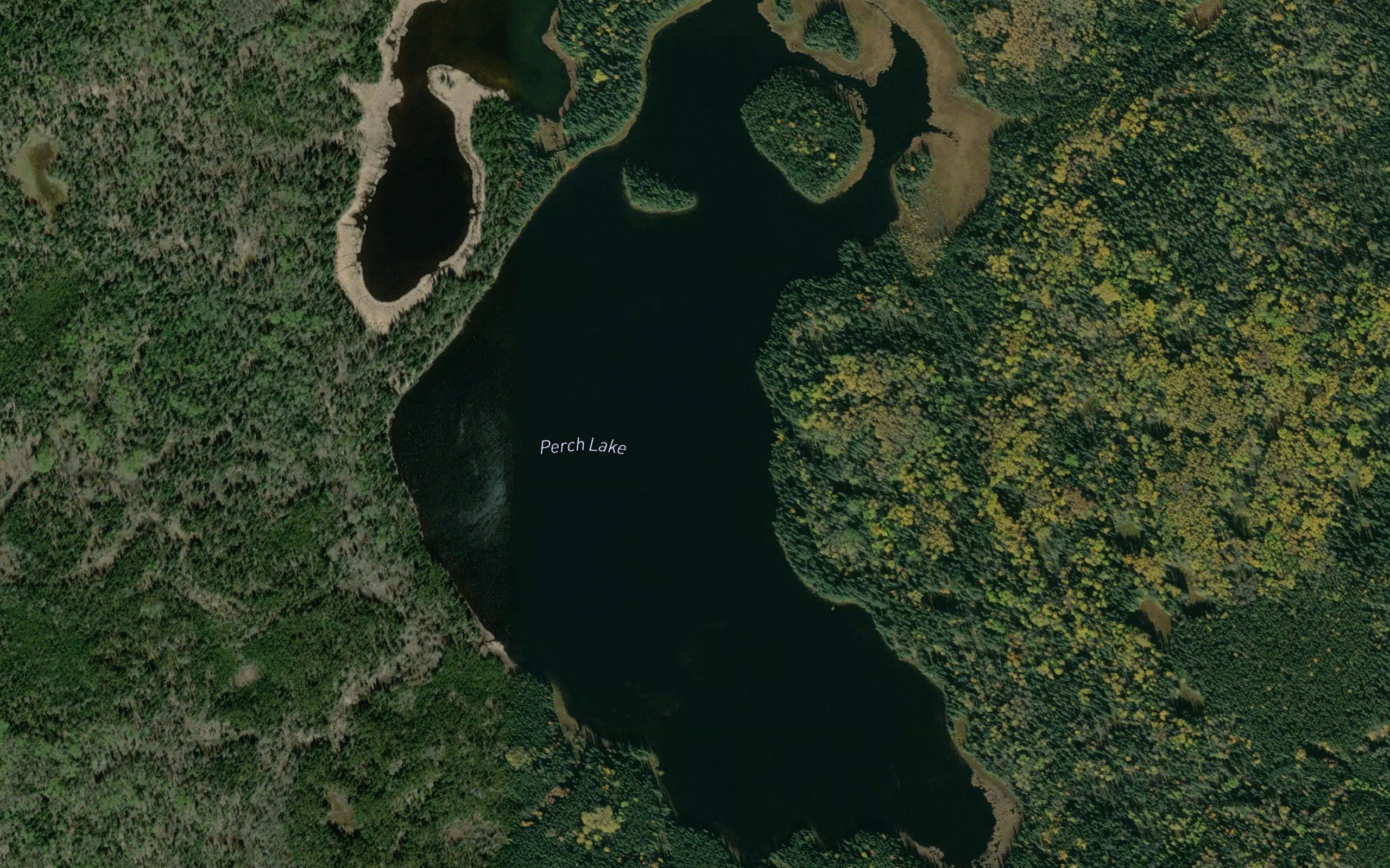Perch Lake