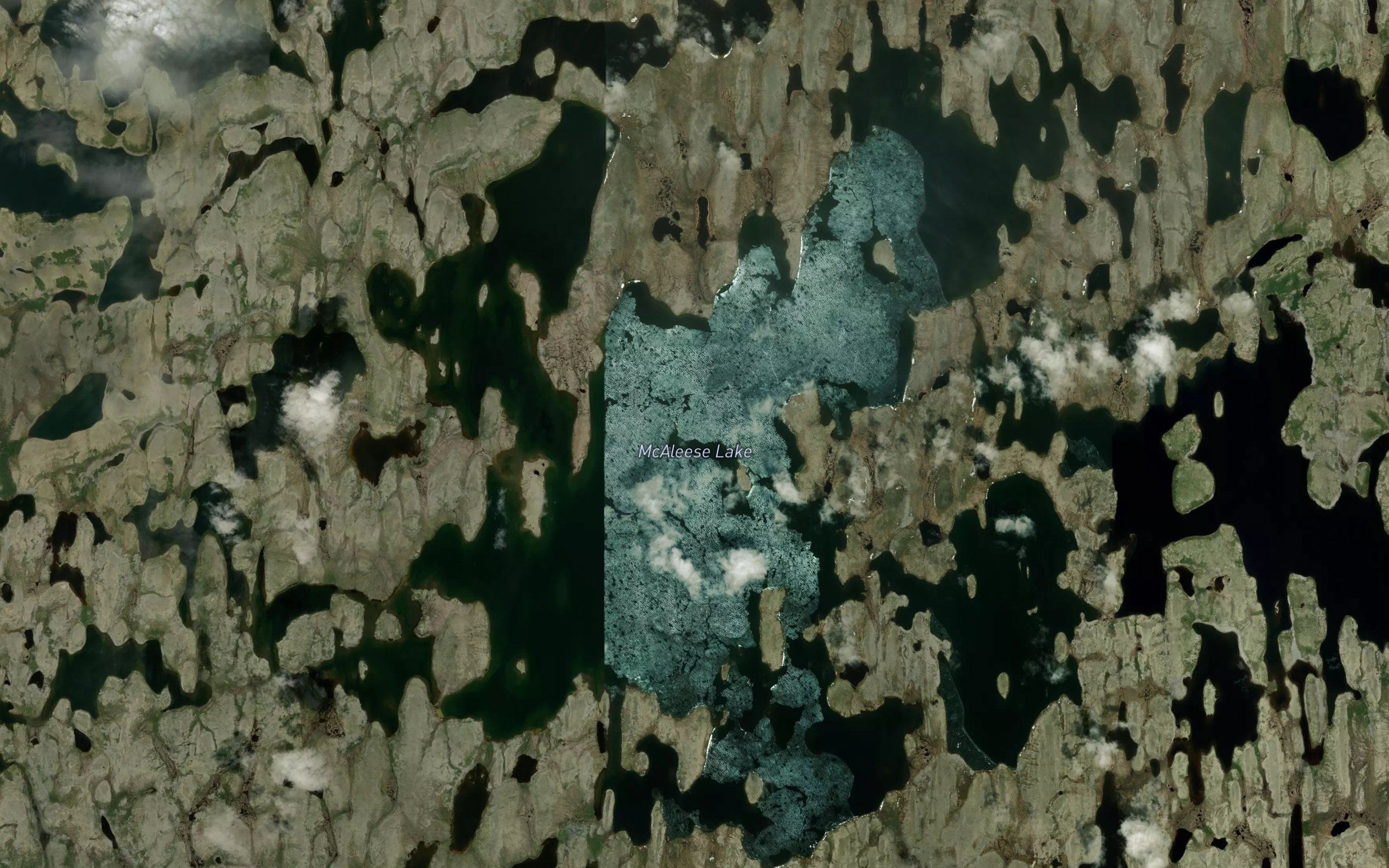 McAleese Lake