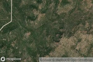 Serviceberry Spring