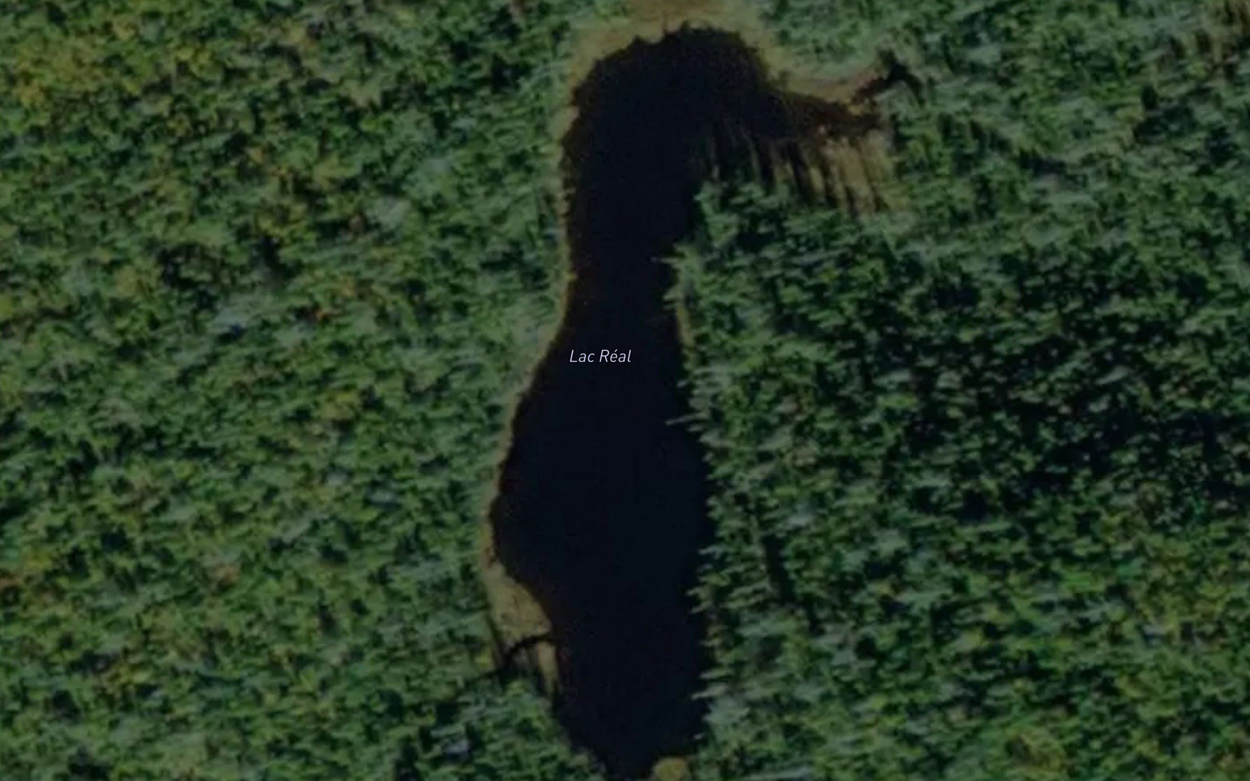Lac Real