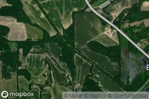 Cooter Creek