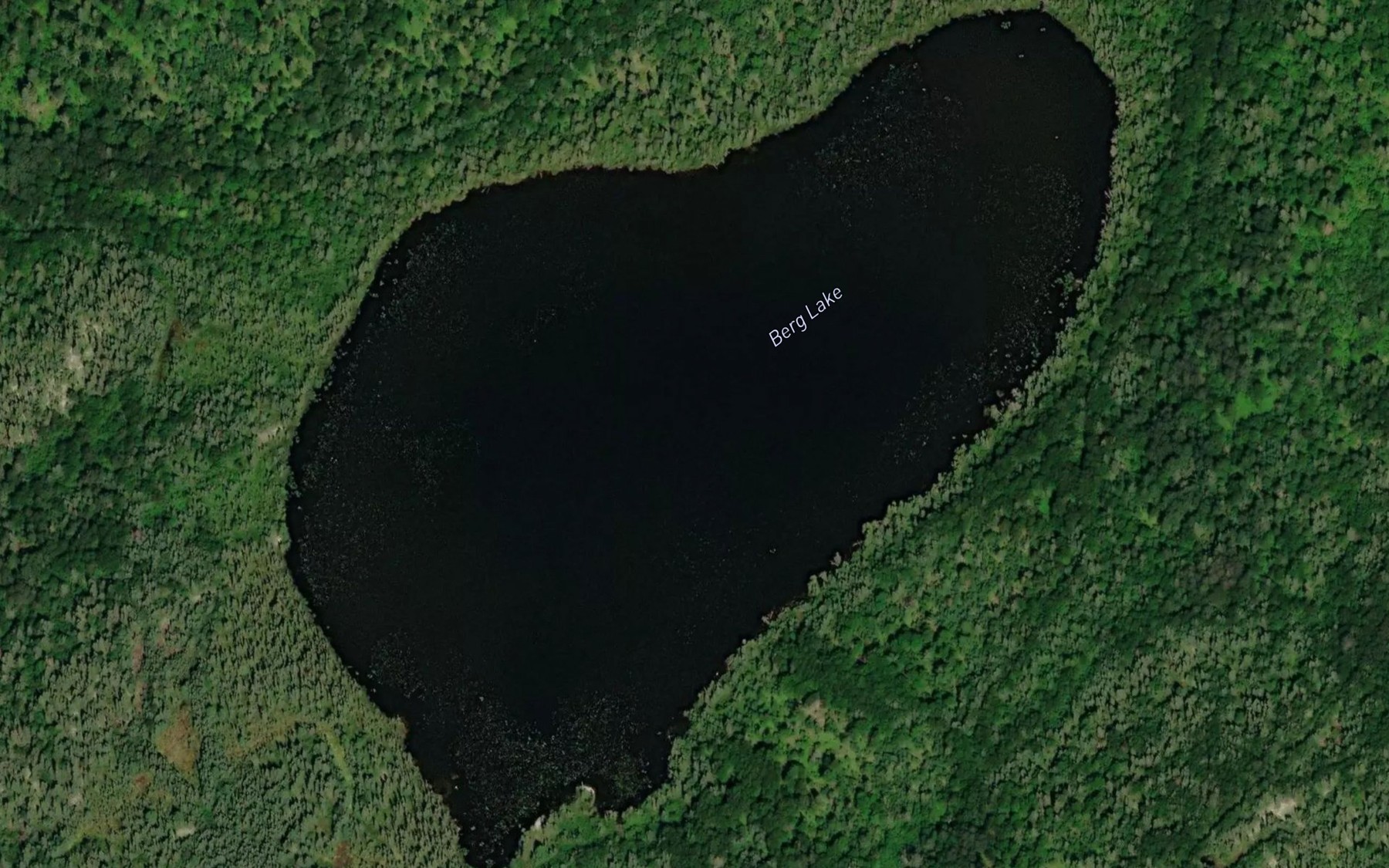 Satellite map of the Berg Lake