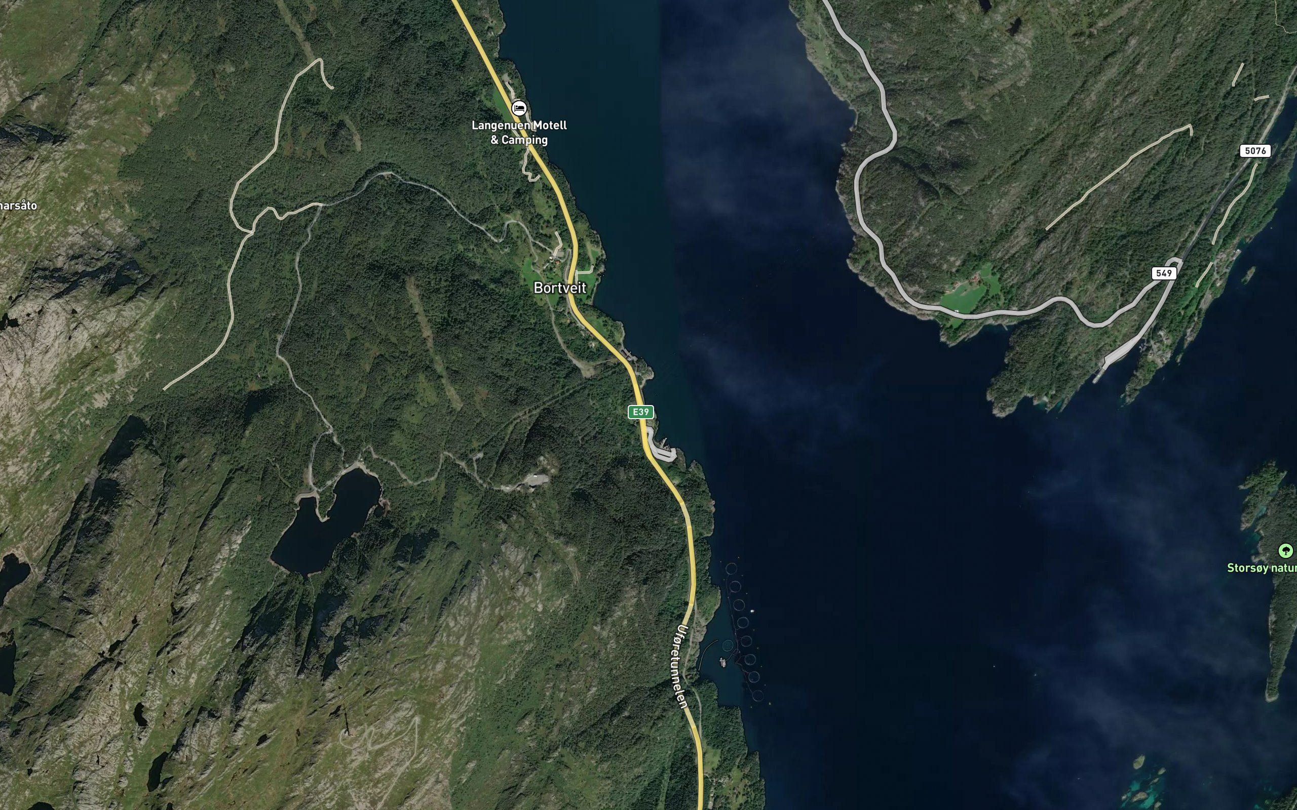 Jektavika
