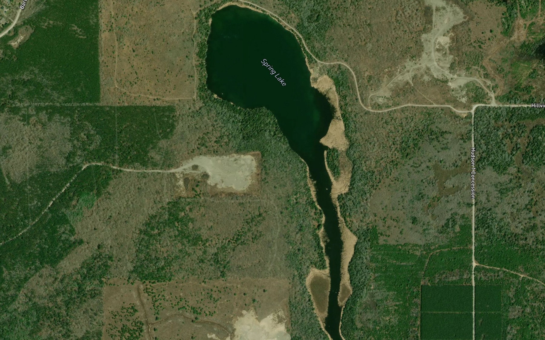 Satellite map of the Spring Lake