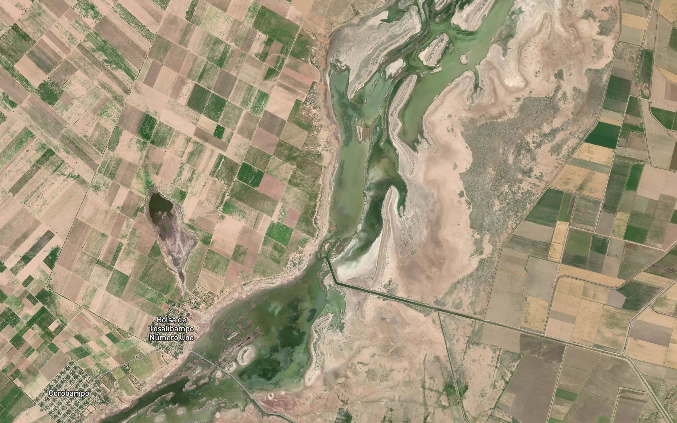 Estero Capoa