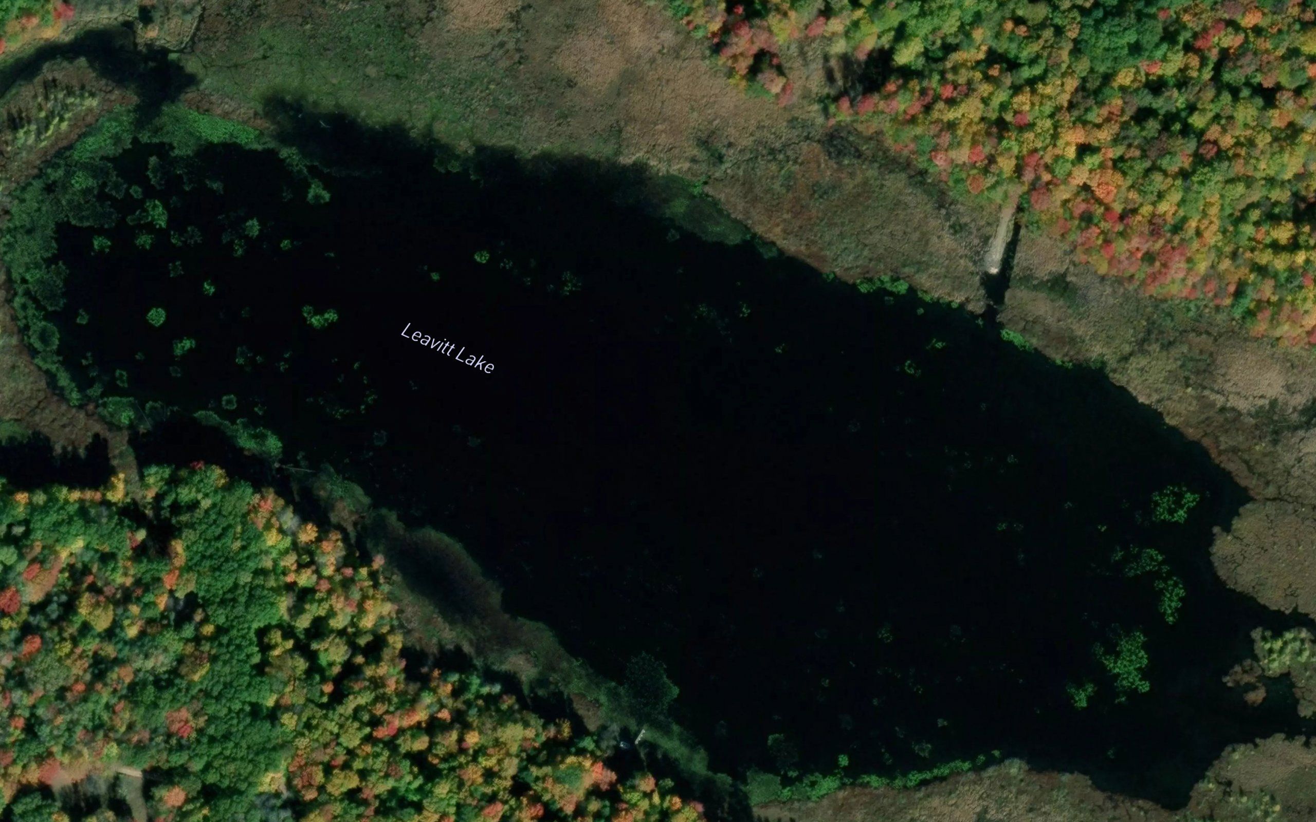 Leavitt Lake