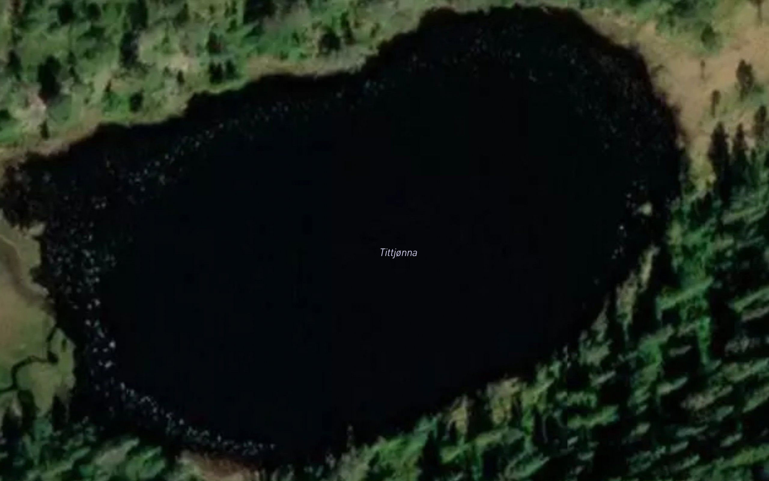 Tittjorna