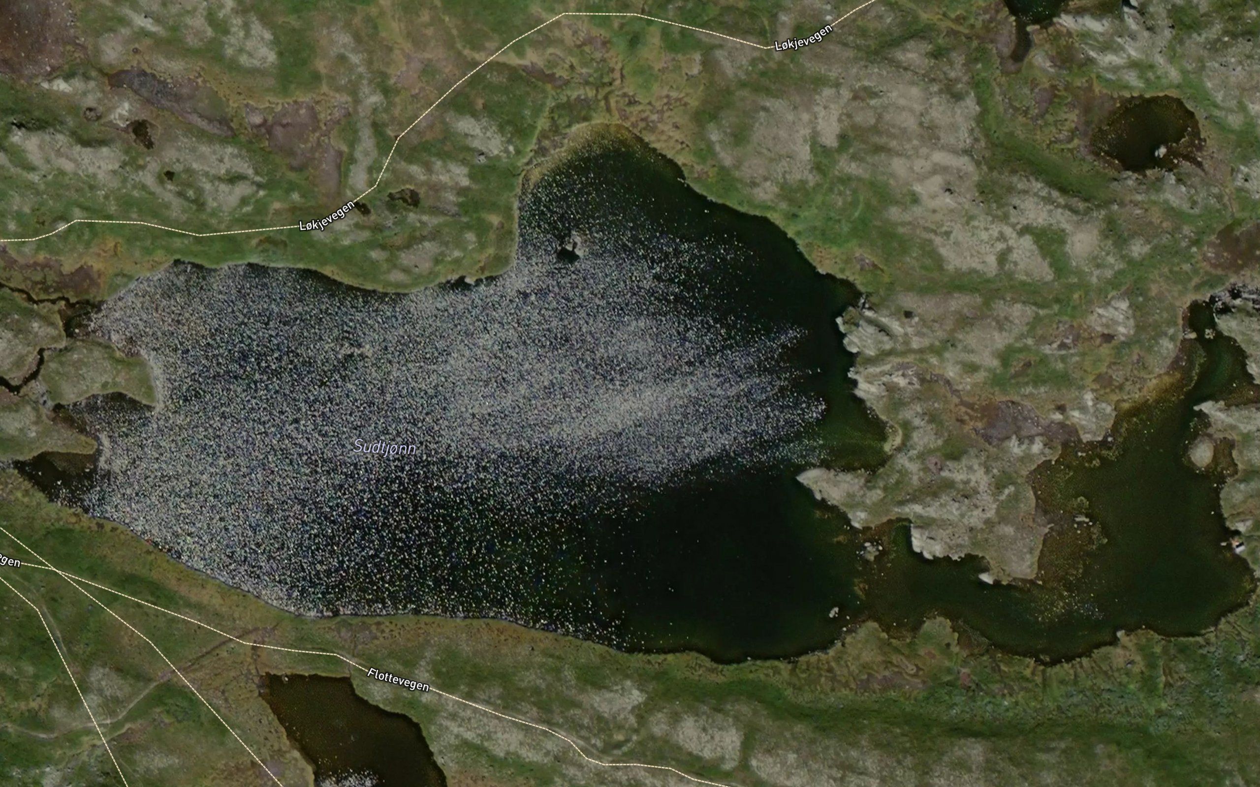 Sudtjorn