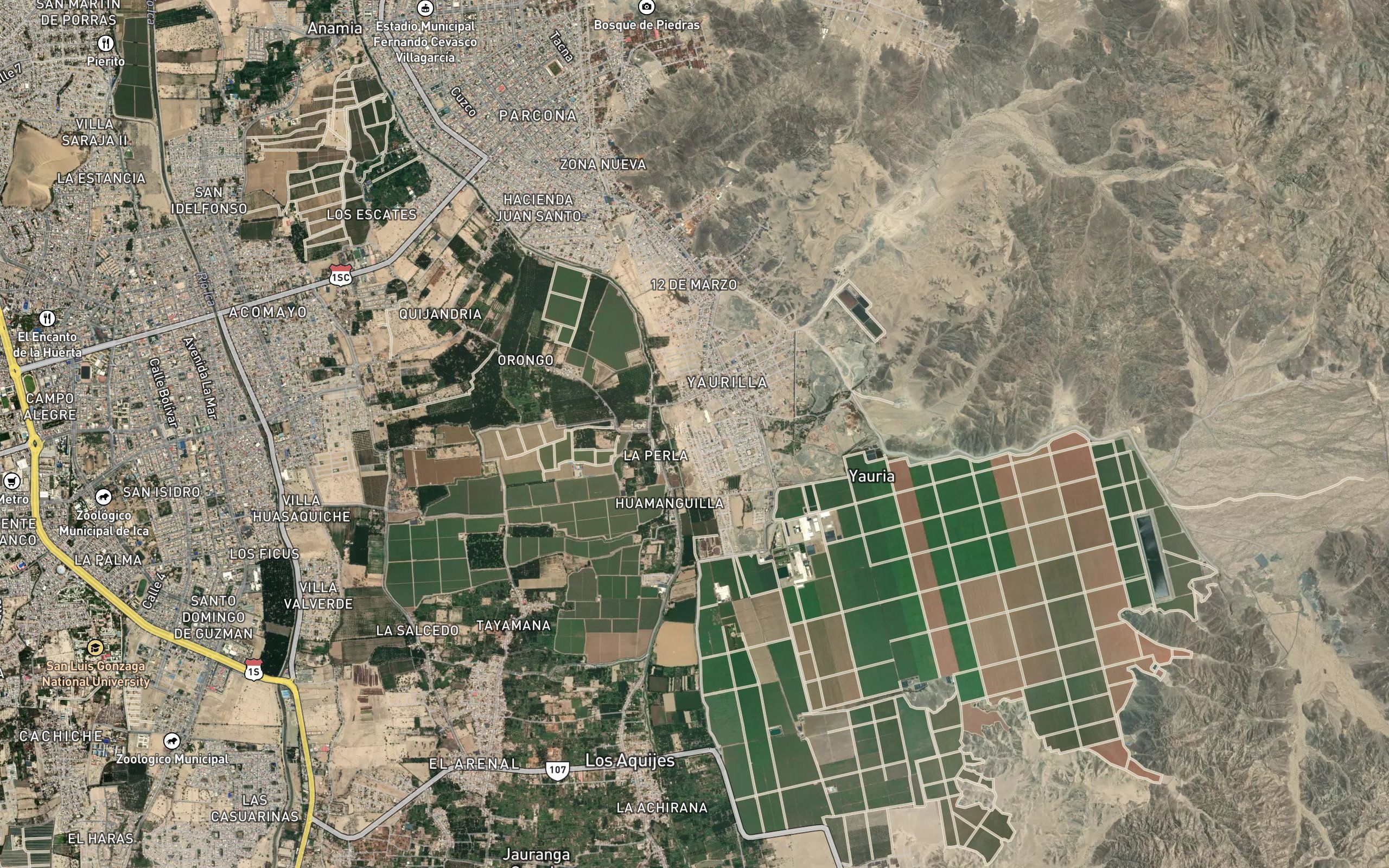 Acequia Arnao