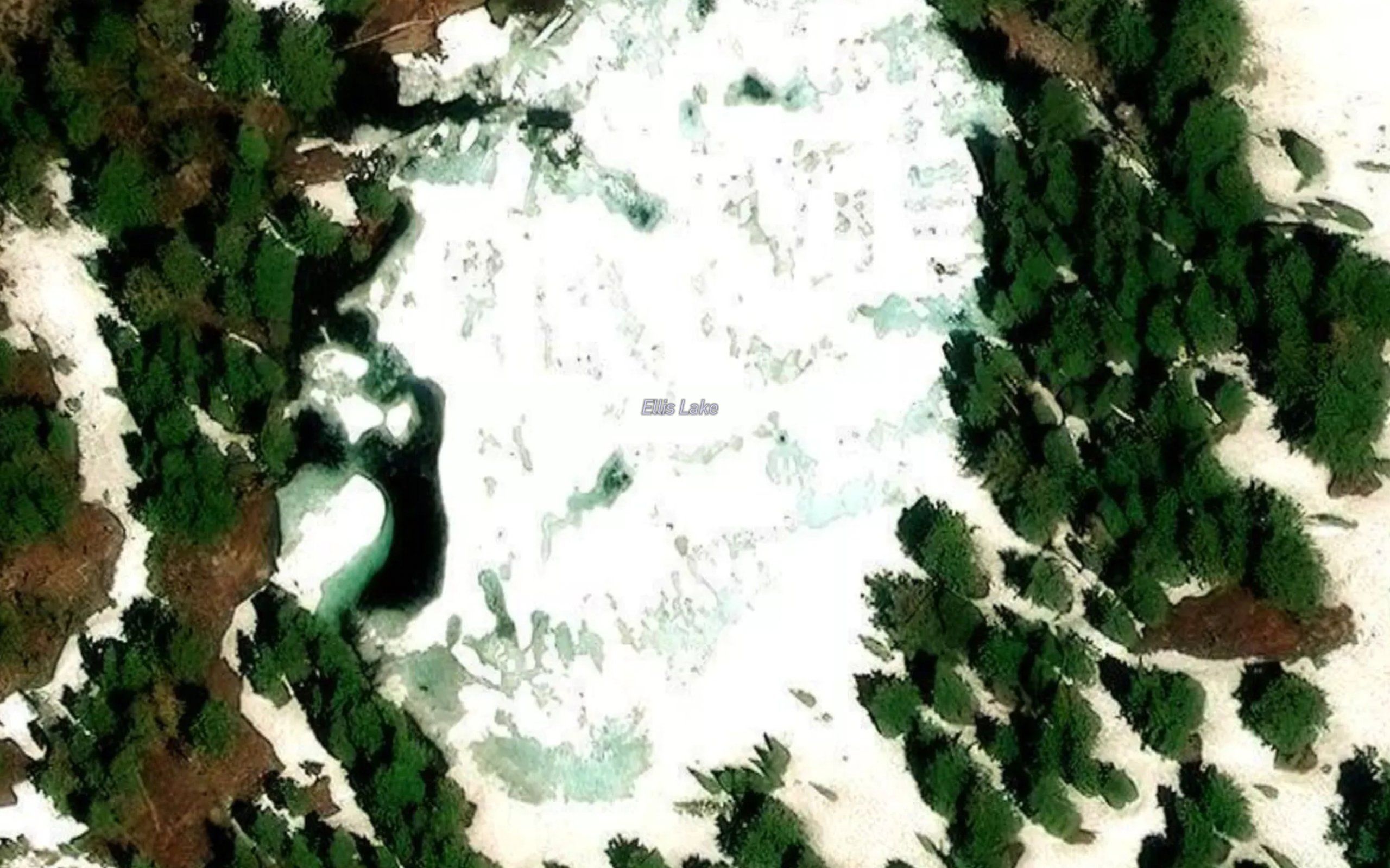 Ellis Lake