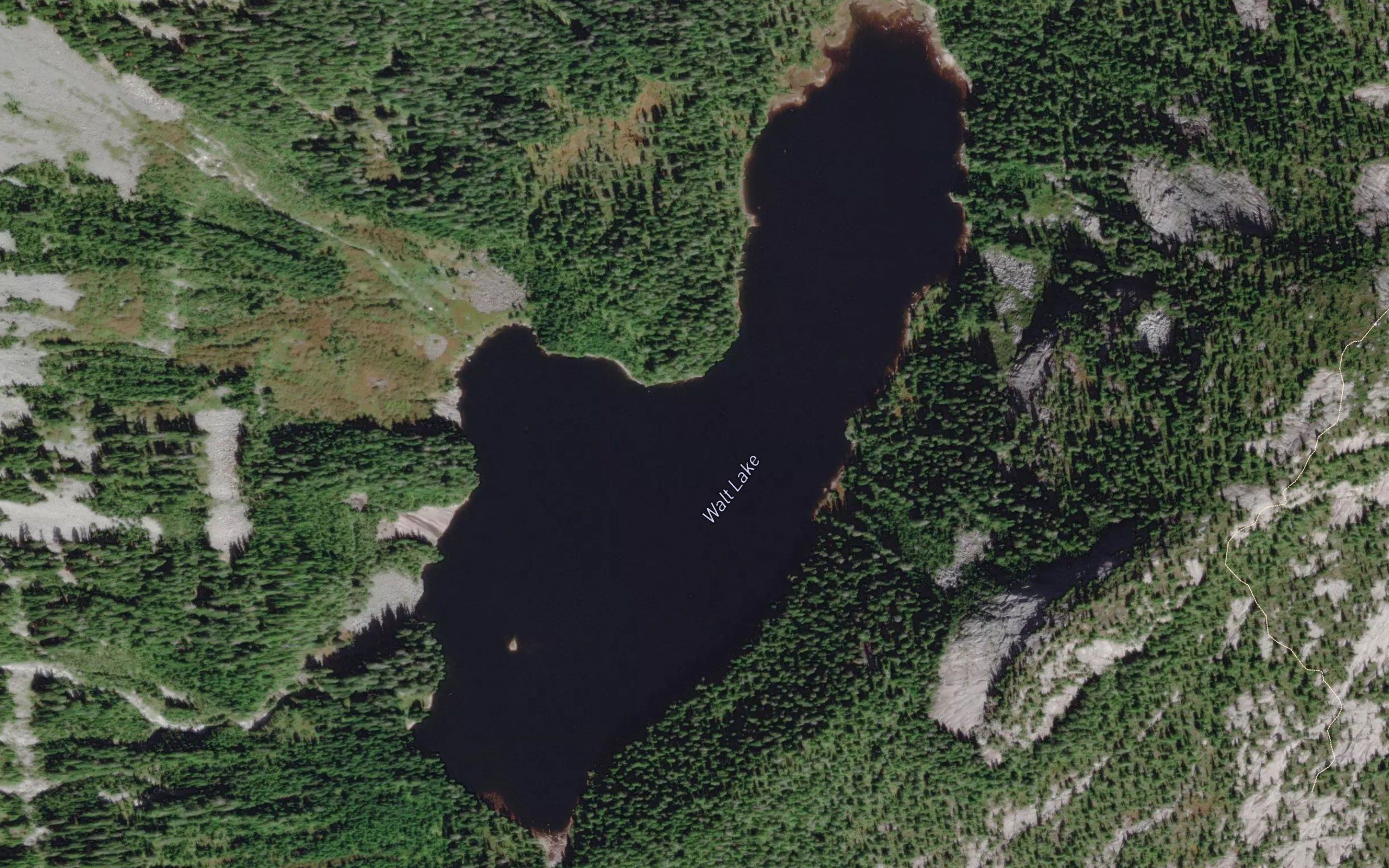 Walt Lake