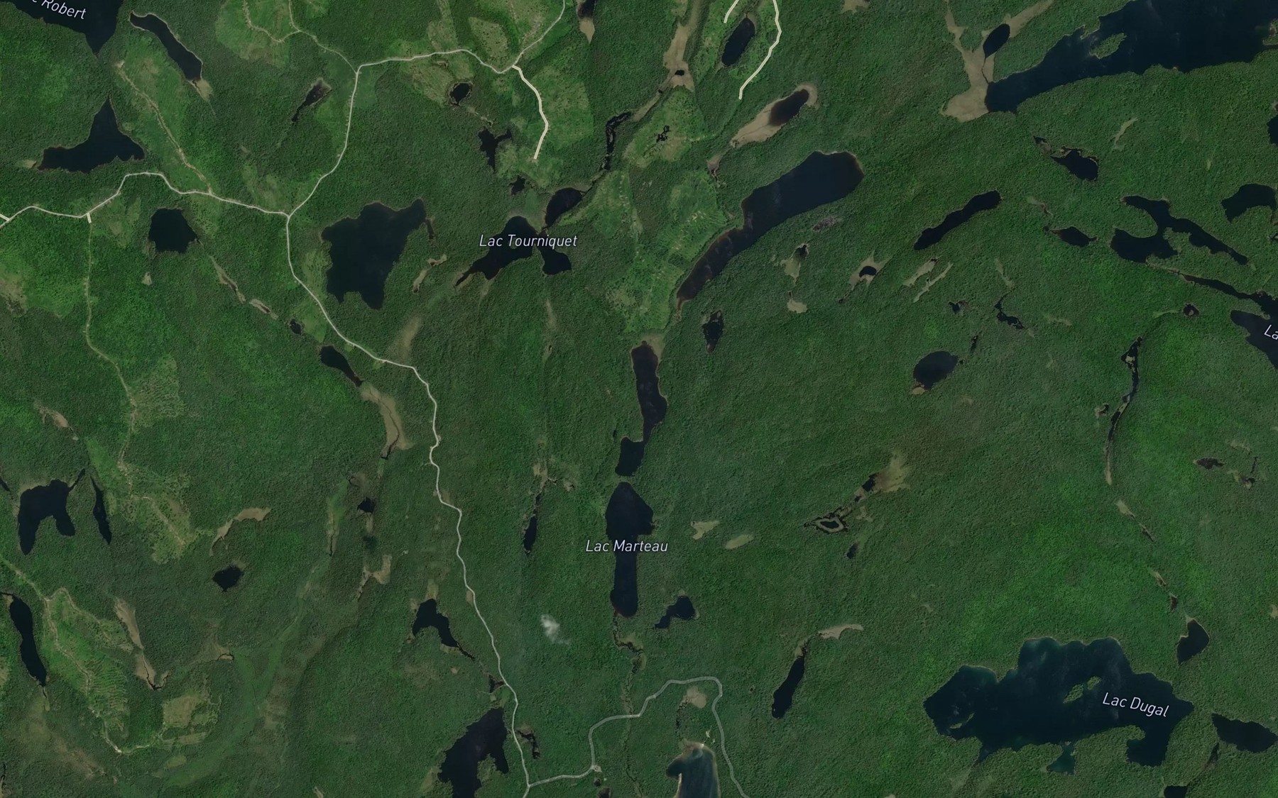 Satellite map of the Lac de la Meute