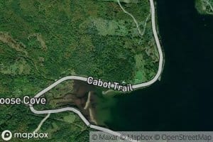 Goose Cove Brook