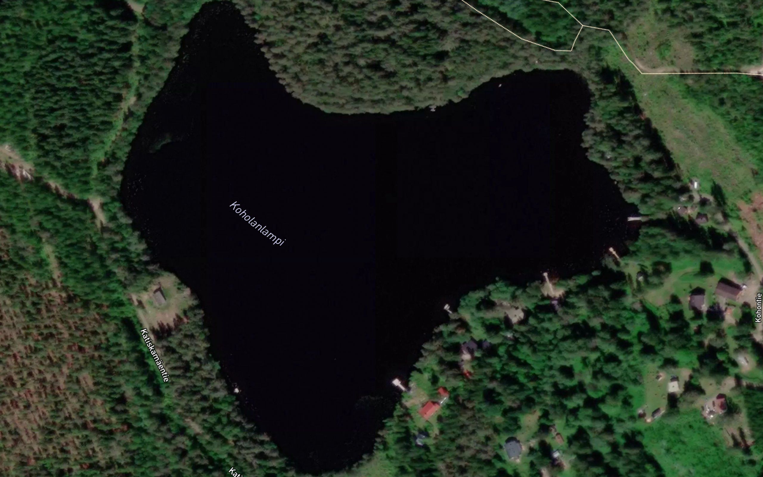 Koholanlampi