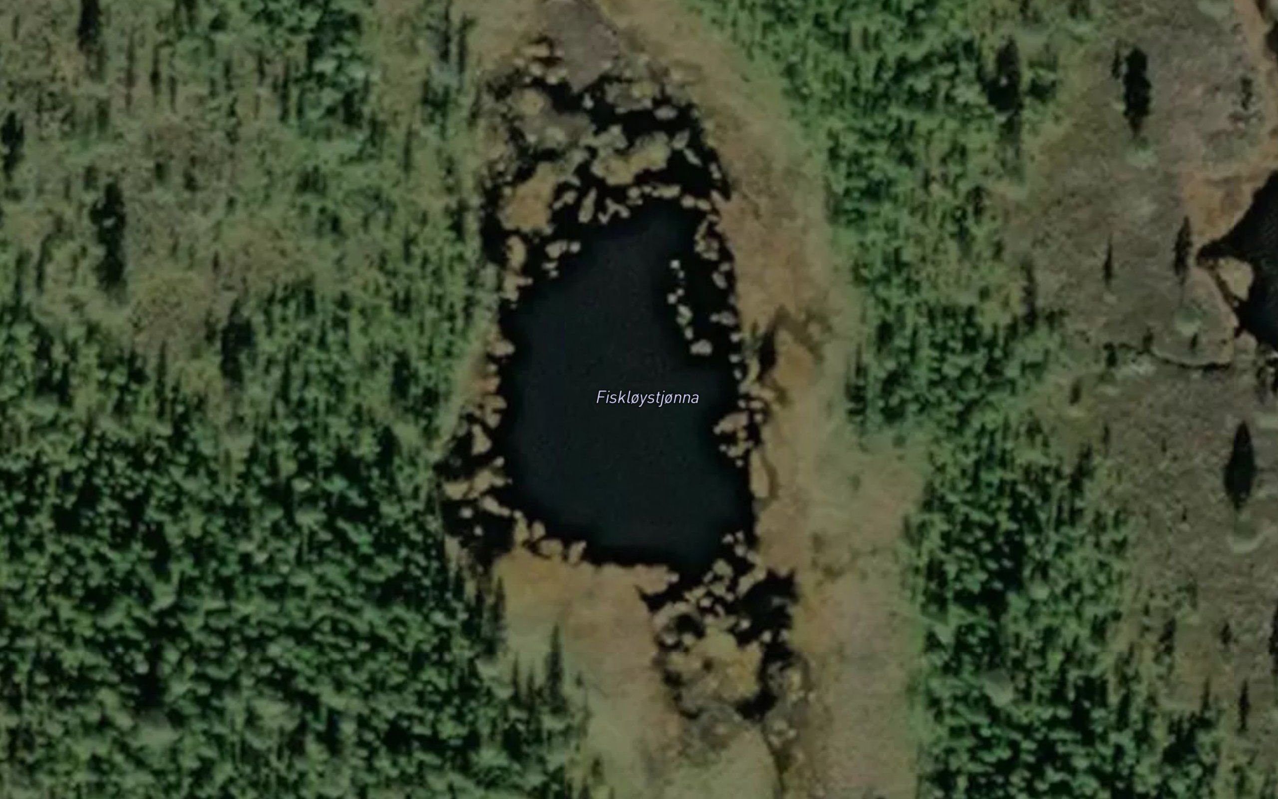 Fiskloystjonna