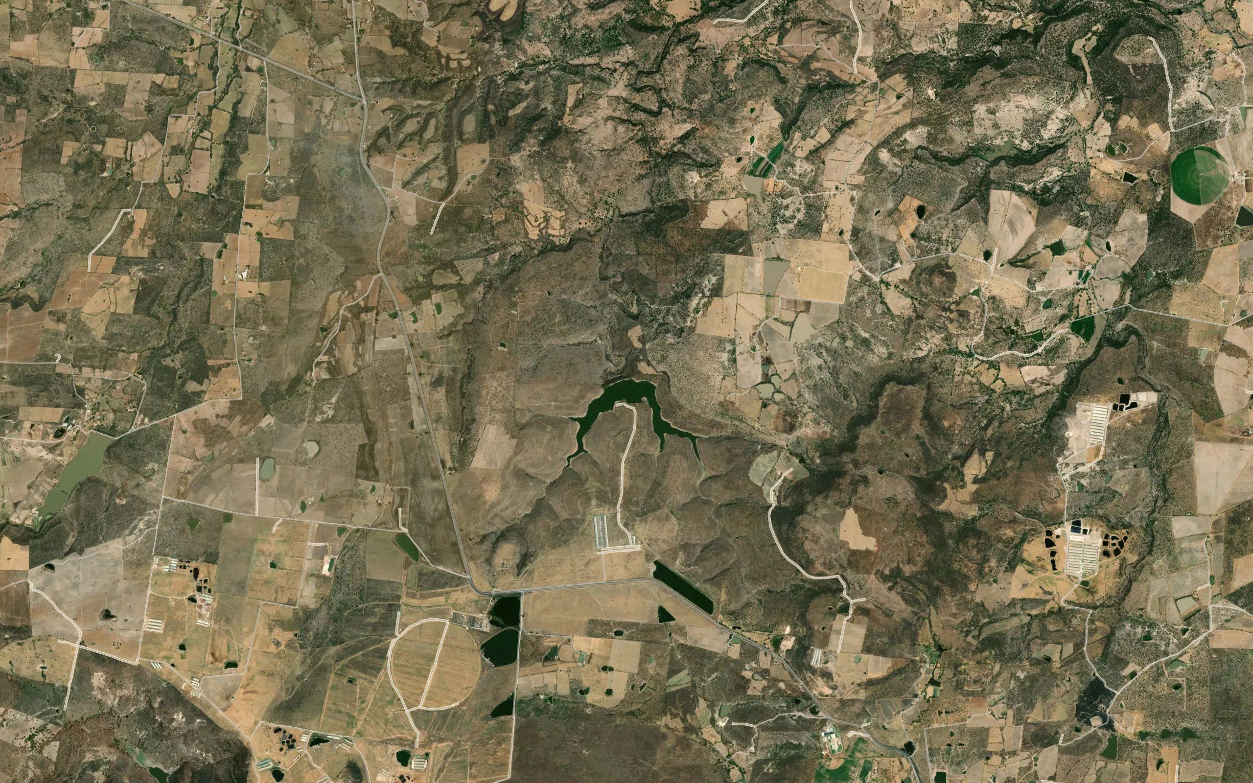 La Colmena