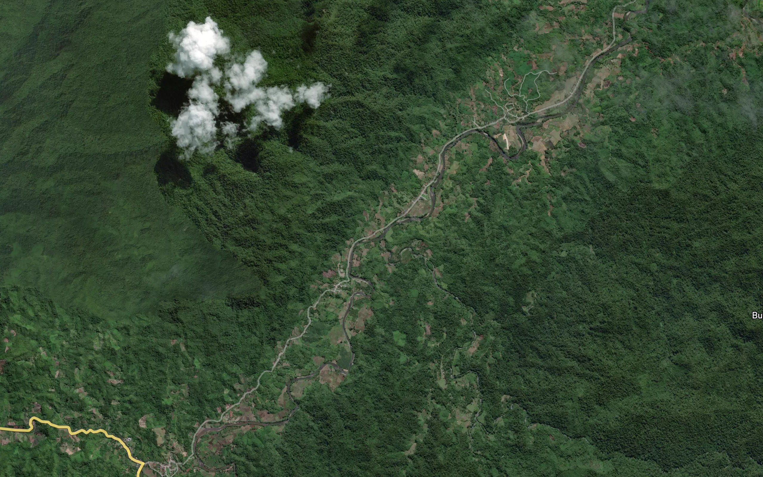 Salu Mao