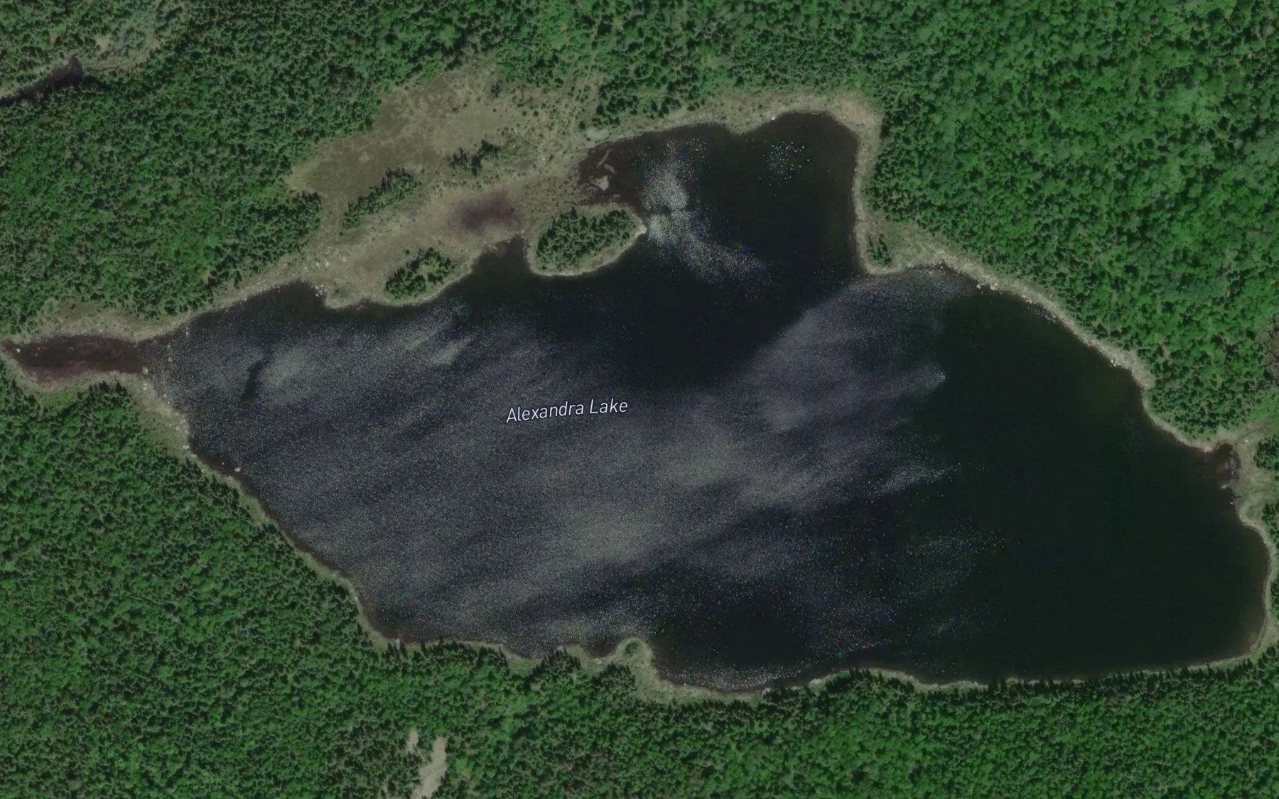 Satellite map of the Alexandra Lake