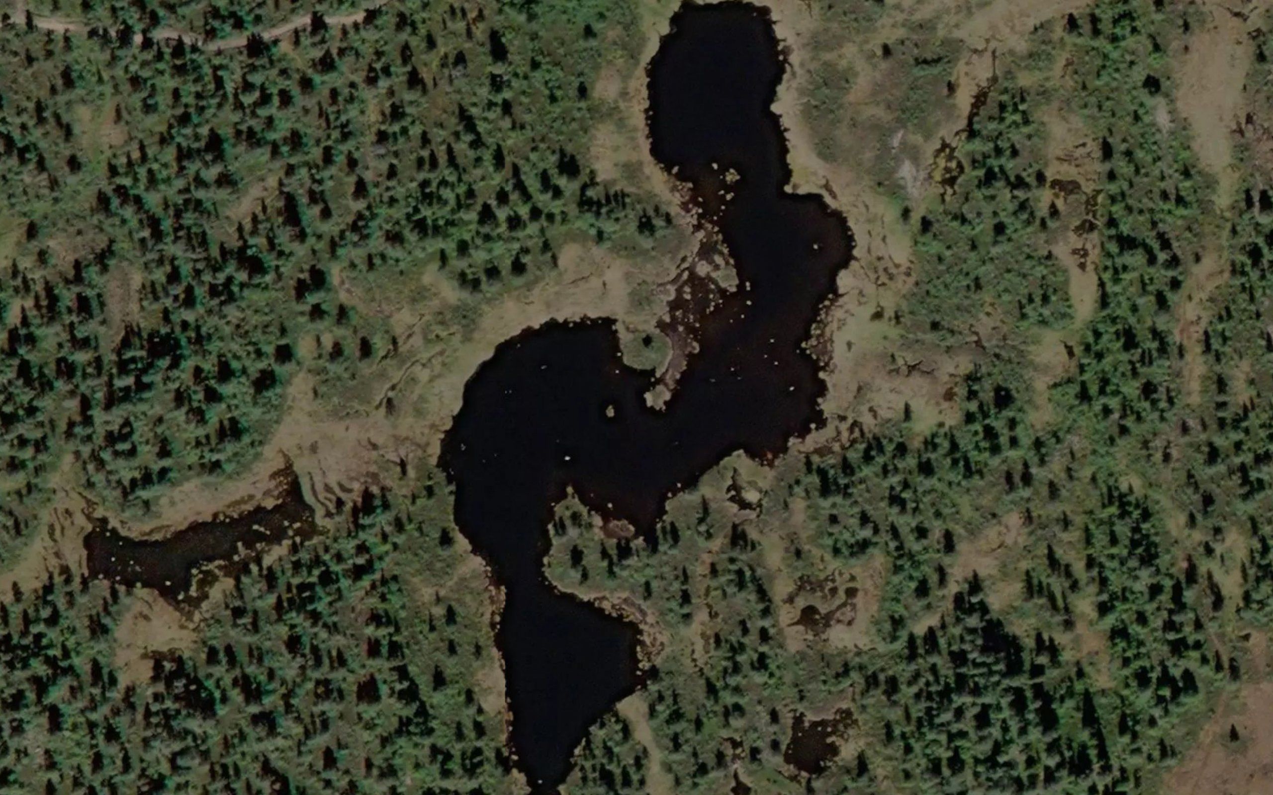 Ormetjorn