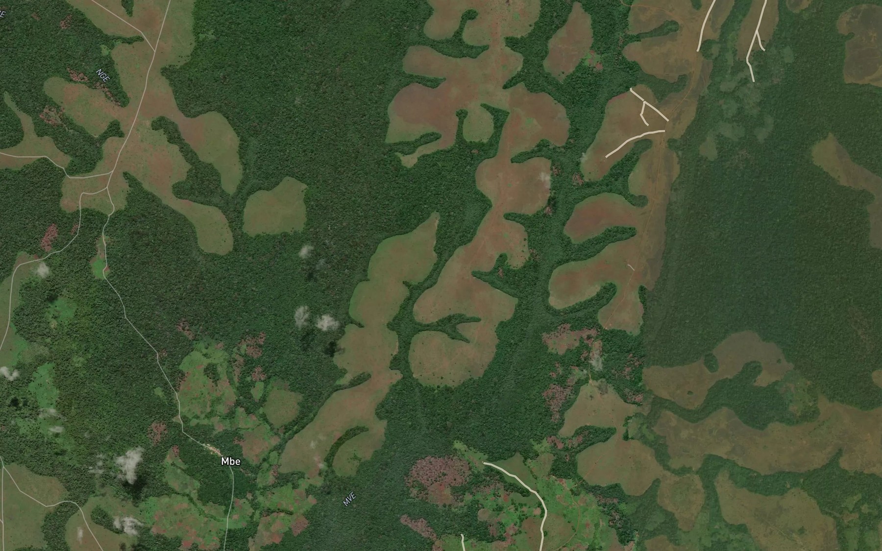 Satellite map of the Dangala