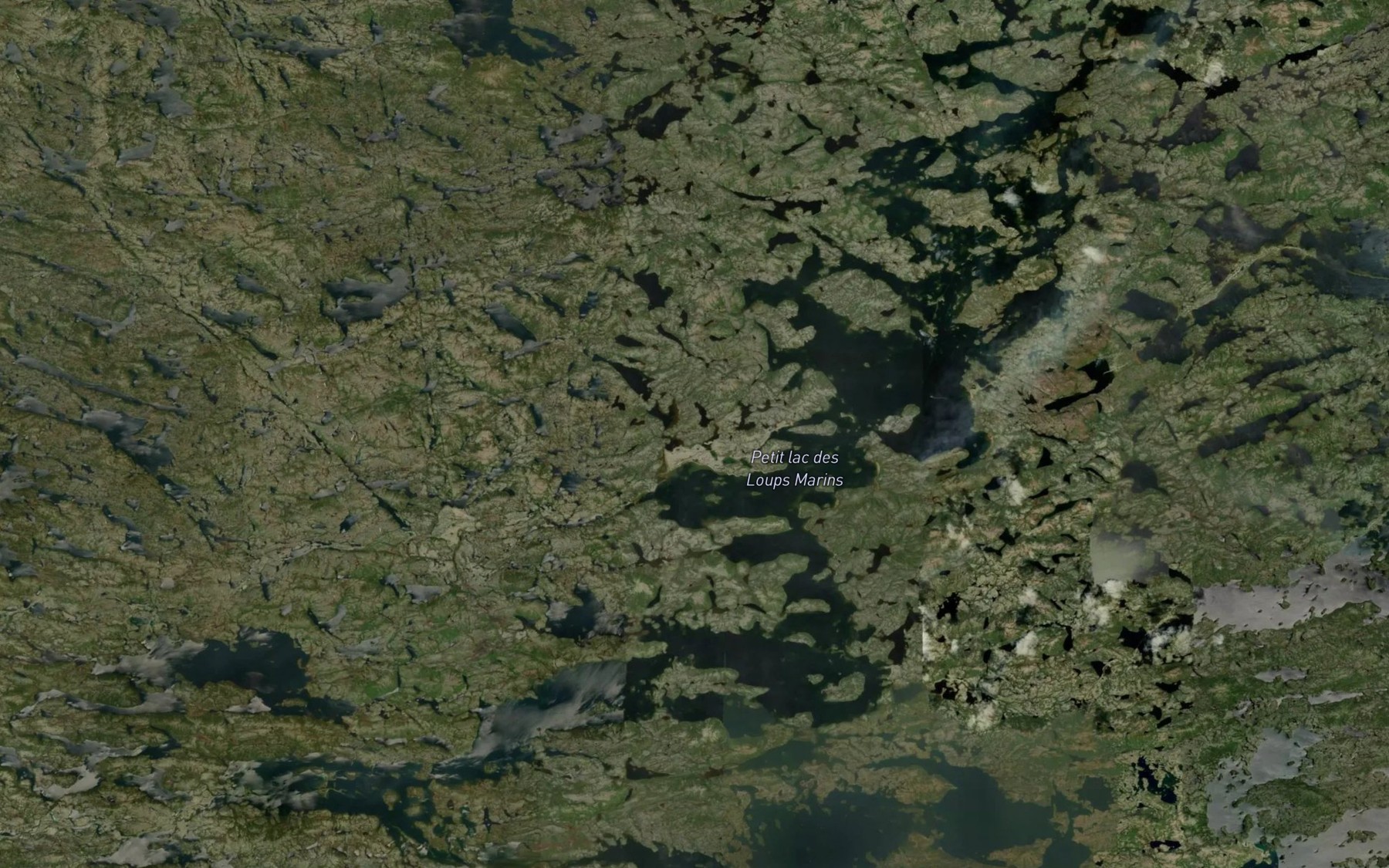 Satellite map of the Petit lac des Loups Marins