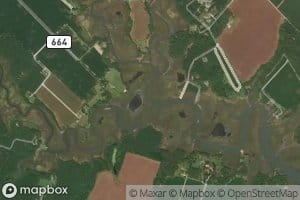 North Fork Parker Creek