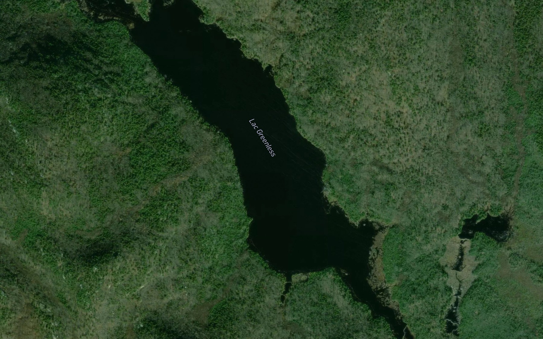 Satellite map of the Lac Greenless