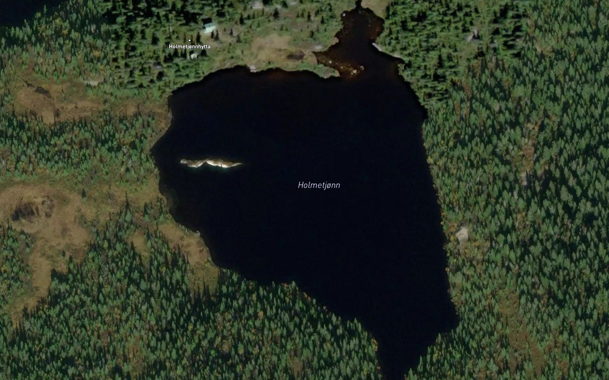 Holmetjorni