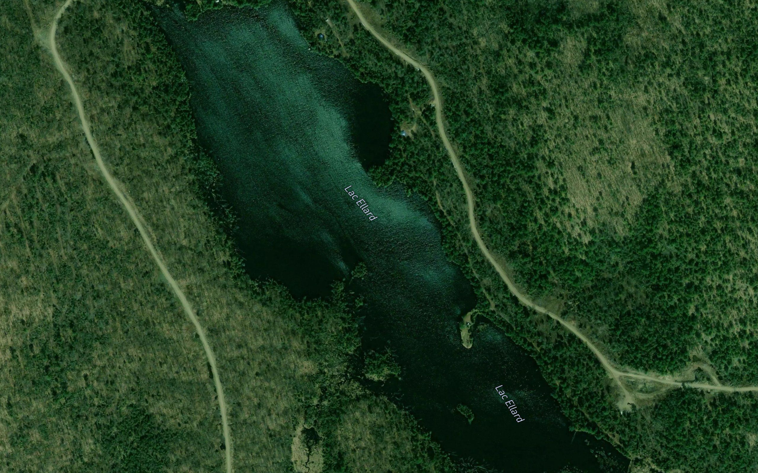 Lac Ellard