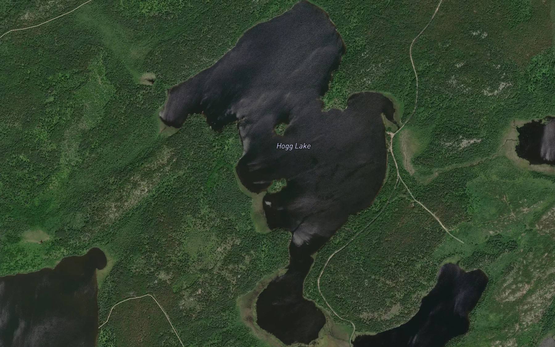 Satellite map of the Hogg Lake