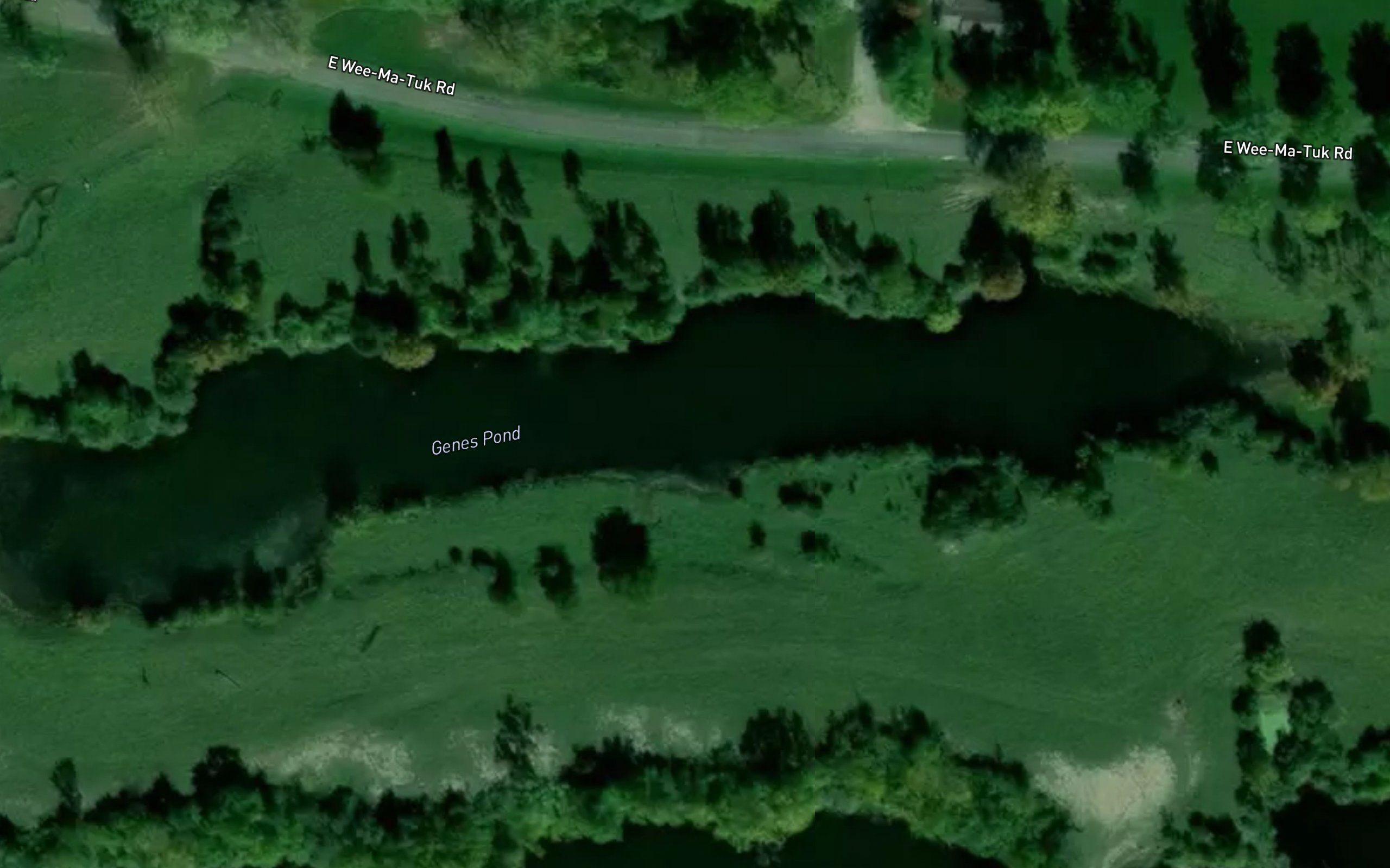 Genes Pond