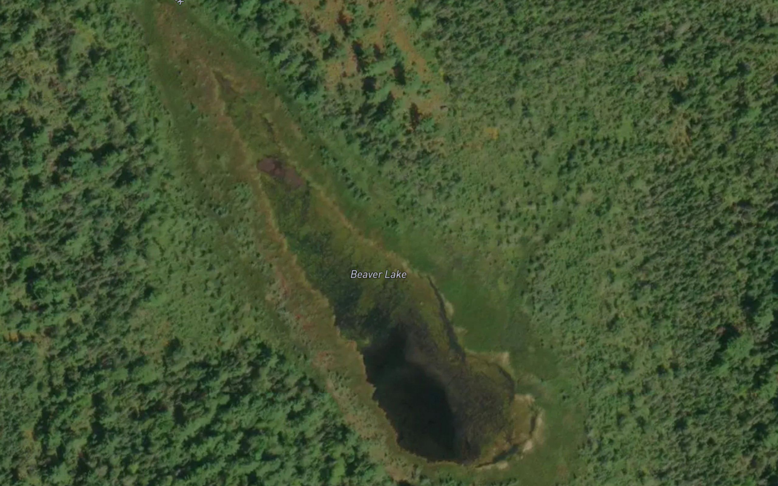 Beaver Lake