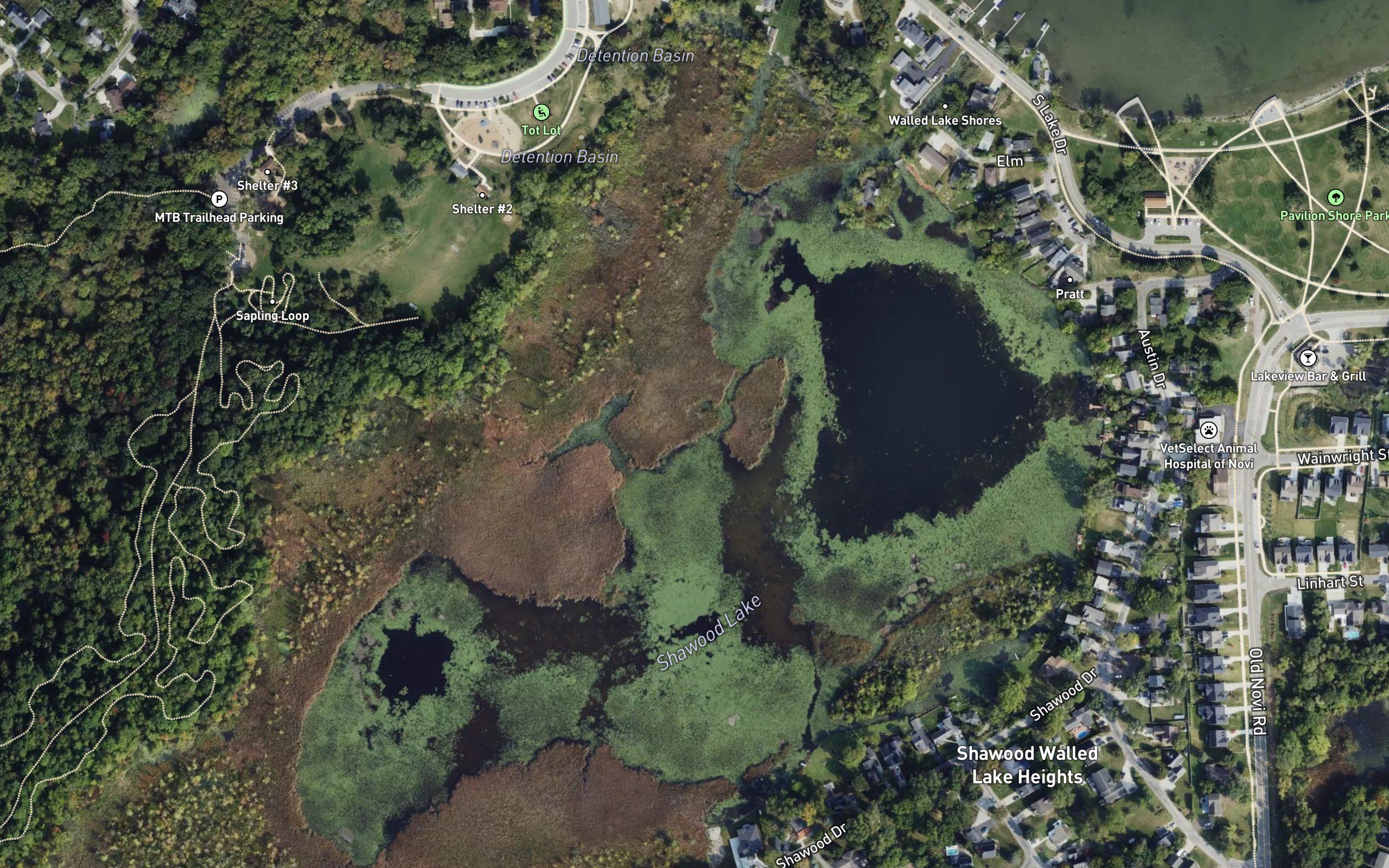 Mud Pond