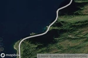Snekkevika