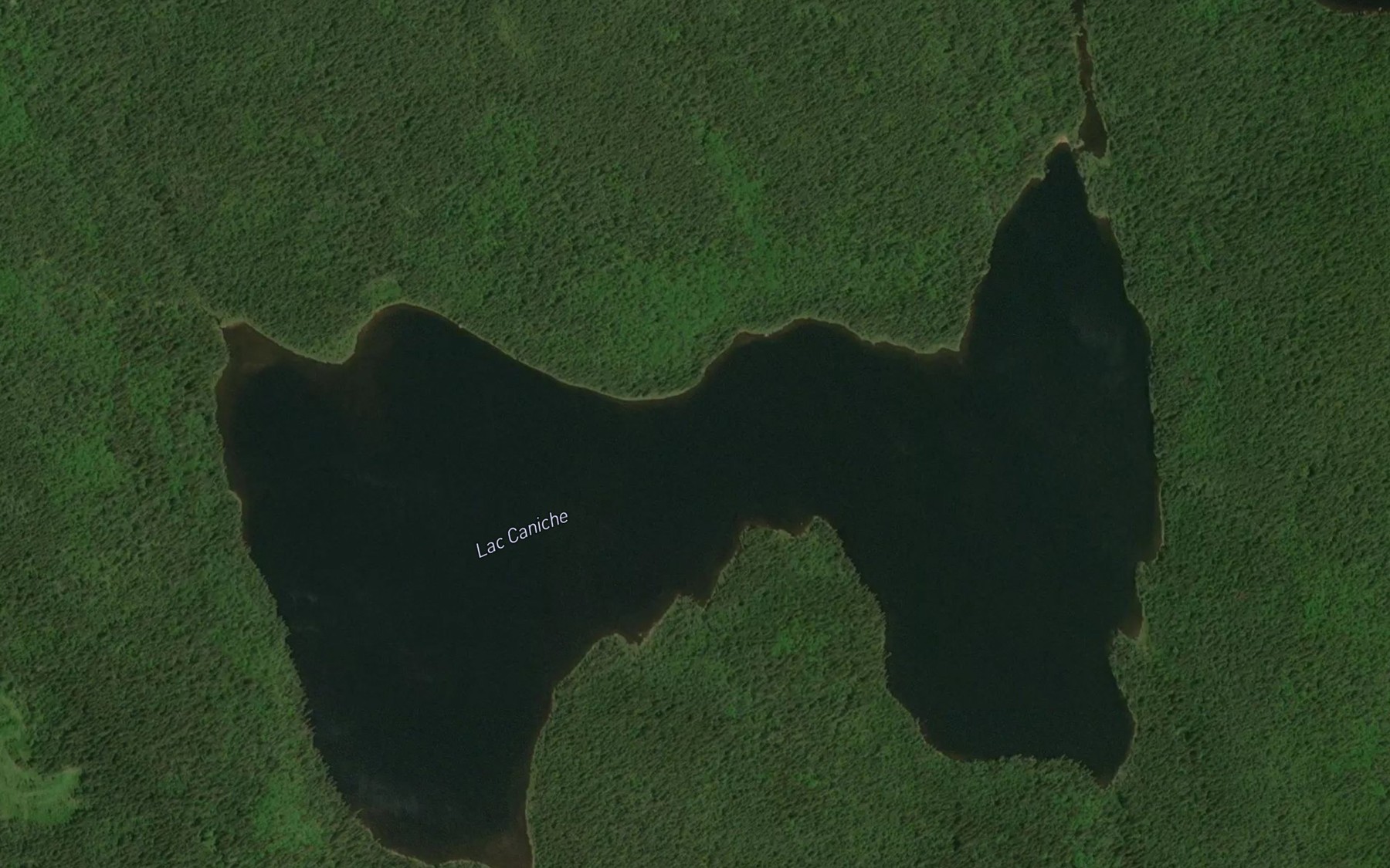 Satellite map of the Lac Caniche